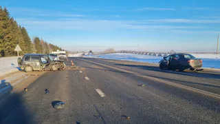 Четыре человека пострадали в ДТП на трассе под Вологдой