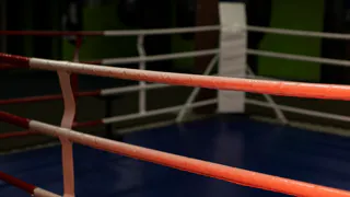 Победа Вологжан: два золота на первенстве России по французскому боксу