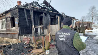Непотушившую окурок вологжанку будут судить за гибель гостя на пожаре