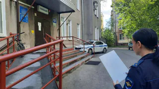 Полицейские задержали взломщика, спалившего баню дачницы в Вологодской области 