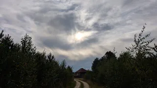 Погода в Вологодской области 8 сентября: дождь уйдет, но потепления не будет