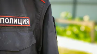 Неожиданные звуки взбудоражили Череповецкий район