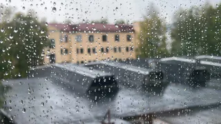 Погода в Вологодской области: дождливая ночь, тёплый день и порывистый ветер