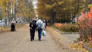 Небеса защитят: Тамара Глоба назвала знак Зодиака, который в ноябре получит защиту от всех бед — проблемы решатся сами