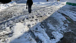 В Вологде организуют муниципальную площадку для временного размещения снега