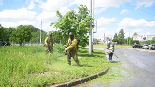 В Вологде покос травы и борьба с борщевиком идут полным ходом