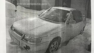 Вологжанин в пьяном угаре разгромил свой автомобиль битой после новости о конфискации