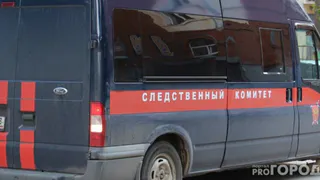 Трагичная итоговая страница: в Череповце завершено расследование гибели 5-летнего малыша