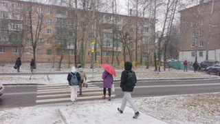 Вологодскую область ждет снег из-за циклона