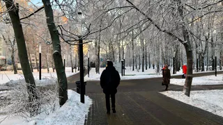 В Череповце открыли запись в школу ландшафтного дизайна