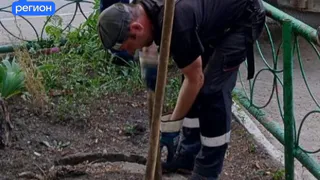В Череповце с помощью акустических датчиков выявляют утечки