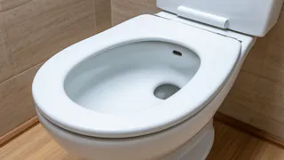 Почему нельзя оставлять открытой крышку унитаза. Запомните навсегда