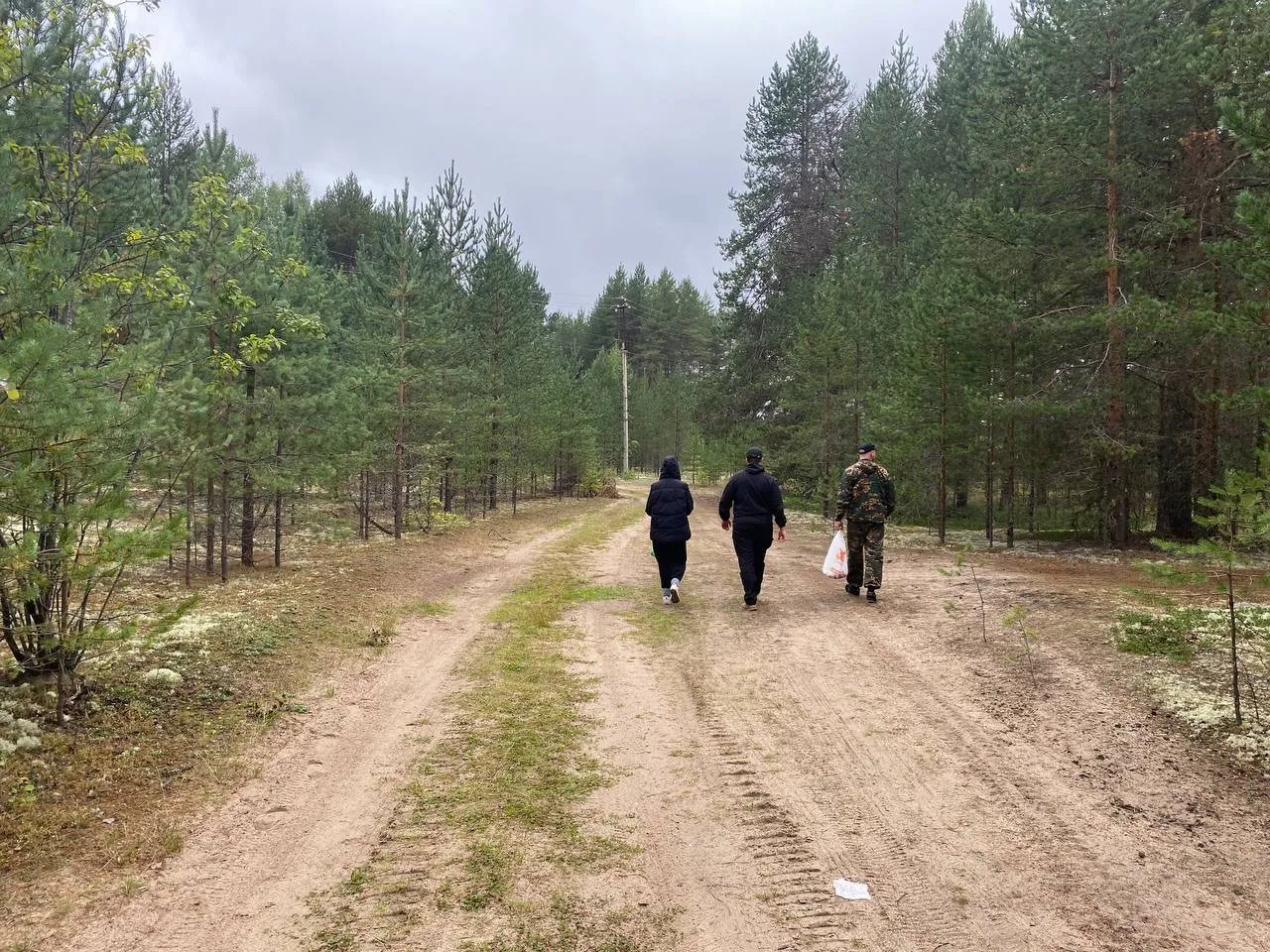 Грибной сезон: как не попасть под суд за краснокнижные грибы