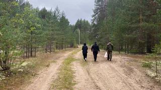 Грибной сезон: как не попасть под суд за краснокнижные грибы