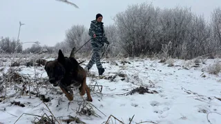 Вологжанка за неделю ограбила два ломбарда