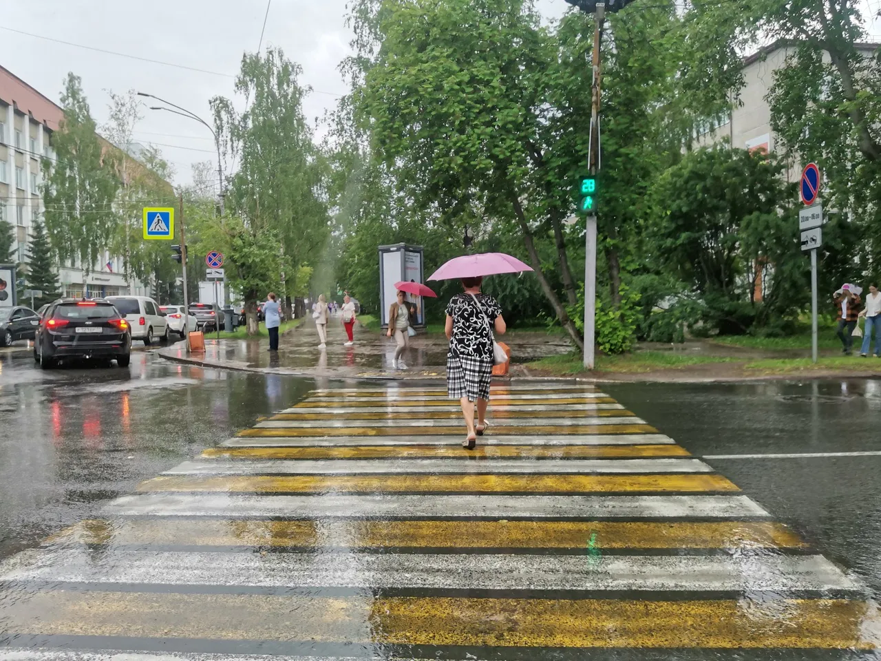 В Вологде стартовала профилактическая акция под названием "Пешеход, пешеходный переход"