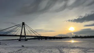 Георгий Филимонов взял проблему с воздухом в Вологодской области на особый контроль