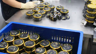 Вологодская осетровая икра отправилась в Монголию и Индию