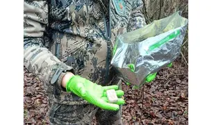 В лесах Вологодской области разложат 400 тысяч доз вакцины от бешенства