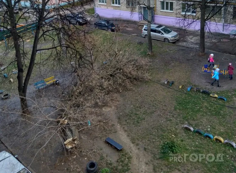 В Вологде на сэкономленные деньги отремонтируют еще два двора