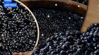 Рыбная продукция Вологодской области отправляется в Иорданию