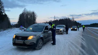 37 водителей задержаны в нетрезвом состоянии на Новый год в Вологодской области