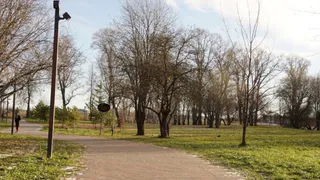 Осановская роща в Вологде преобразится: новые зоны отдыха и активности