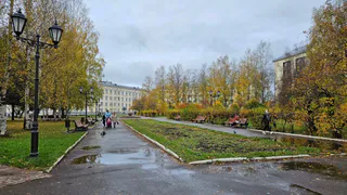 Череповчане могут выбрать один из четырех объектов благоустройства в этом году