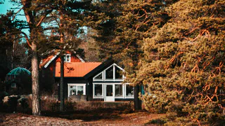 Бесят даже немцев: 5 нелепых запретов на дачах в Германии - в России такое даже трудно представить