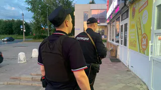 Вологжанку обманул школьник на тест-полоски для диабетиков