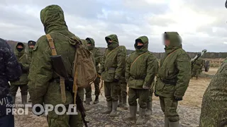 В Шекснинском районе семьи погибших бойцов СВО получили земельные участки