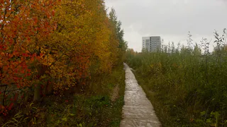 Вологодская область встречает похолодание на последних выходных сентября