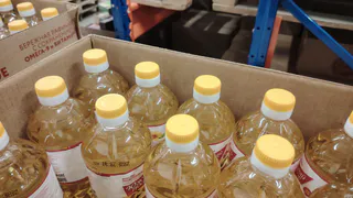 Растительное масло в рационе: нормы потребления и правила выбора продукта