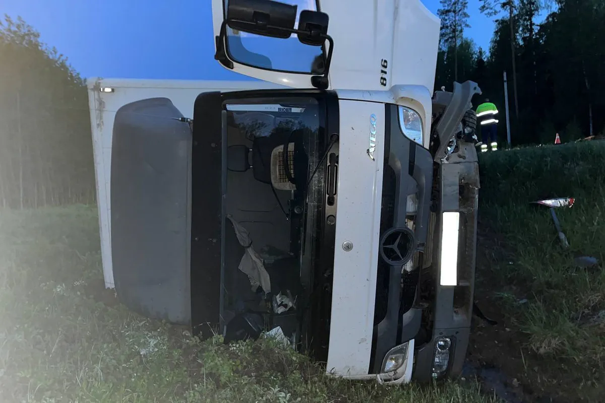 В Вологодской области грузовик сбил лосенка и опрокинулся