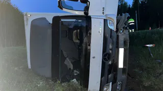 В Вологодской области грузовик сбил лосенка и опрокинулся