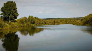Для памятников природы Вологодской области установили границы