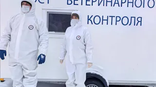 В Вологодской области проведут учения по борьбе с опасными инфекциями животных