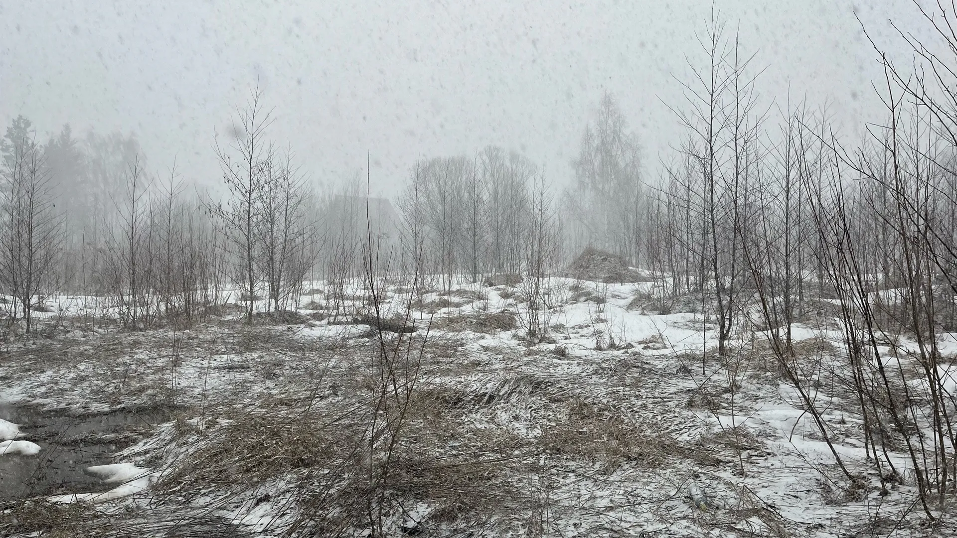 Вологодская область готовится к встрече первого снега
