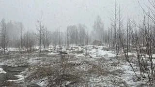 4 ноября Вологодскую область ждут дожди, снег и гололед 