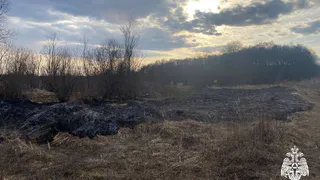 Три пала травы потушили за сутки в Вологодской области