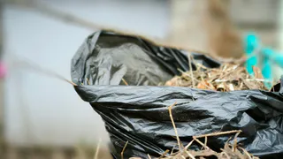 В Вологодской области 600 добровольцев очистили берег реки у монастыря