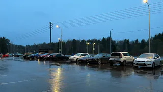 Июнь в Вологодской области начнется с дождливой погоды