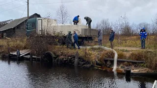 Более 67 тысяч мальков сига выпустили в реку в Вологодской области