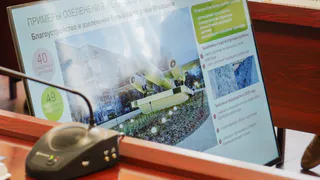 В Вологде пересмотрят подход к озеленению: власти делают ставку на устойчивые и безопасные растения