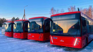 На маршруты в Вологодской области вышли новые белорусские автобусы