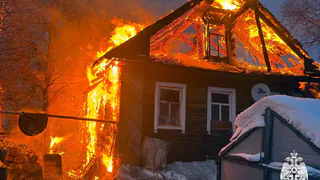 Дети спаслись при пожаре из-за короткого замыкания в Вологодской области