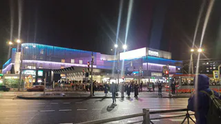 Снега не будет вовсе: Роман Вильфанд расстроил прогнозом жителей Центральной России