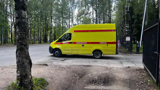 В Вологодской области друг оставил на лице приятеля 17 швов ножом-зажигалкой