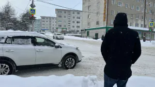 Снега не будет вовсе: Роман Вильфанд расстроил прогнозом жителей Центральной России