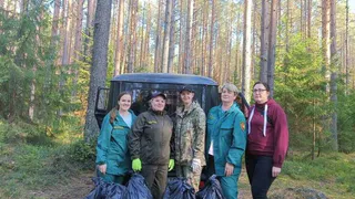 Леса Вологодчины очищают от мусора совместными усилиями
